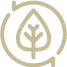 Icon Leaf