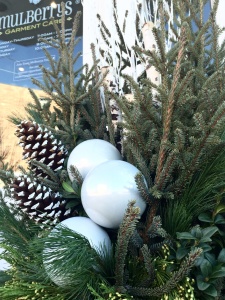 Close up of potted displays at Mulberrs