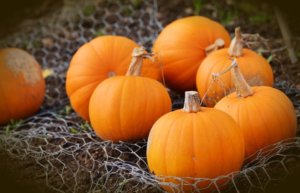 Picture representing pumpkin stain removal for fall fabrics